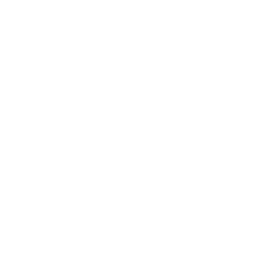 logo downly.